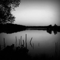 /album/odrodzic-sie-na-nowo/photolia-b01-jpg/